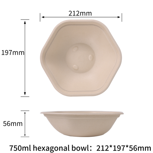 Eco-friendly and compostable sugarcane pulp hexagonal bowl