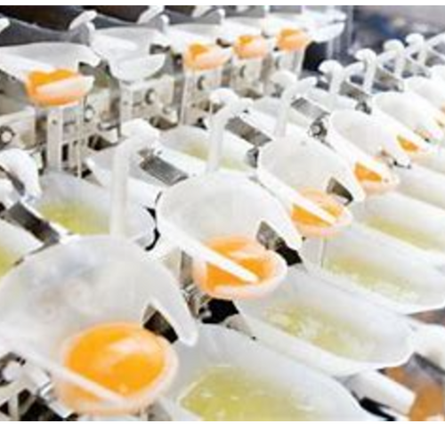 Pasteurized egg