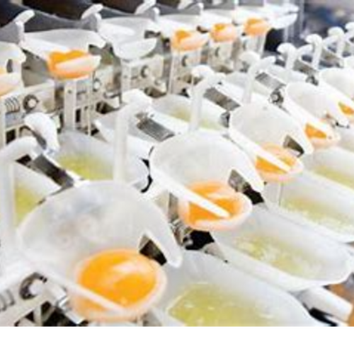 egg yolk salted 10%, 11%