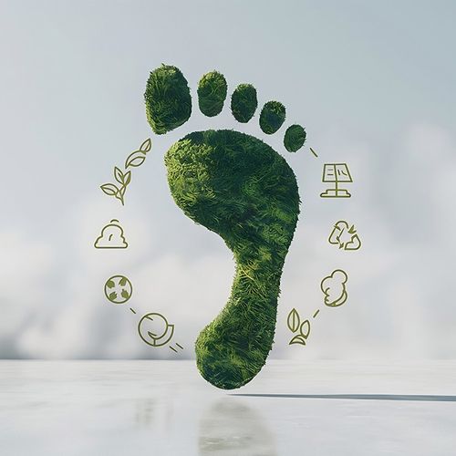 Lowering Carbon Footprint: The Role of rPET in GHG Reduction