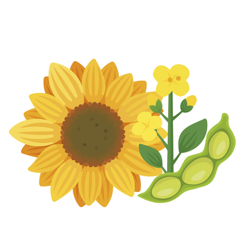 Lecithin