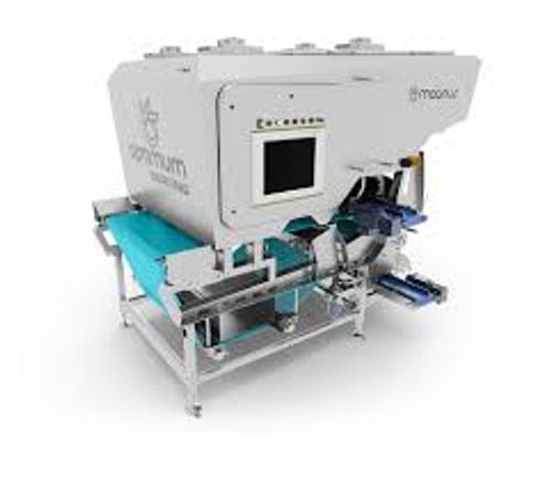 Optimum Sorting Magnus