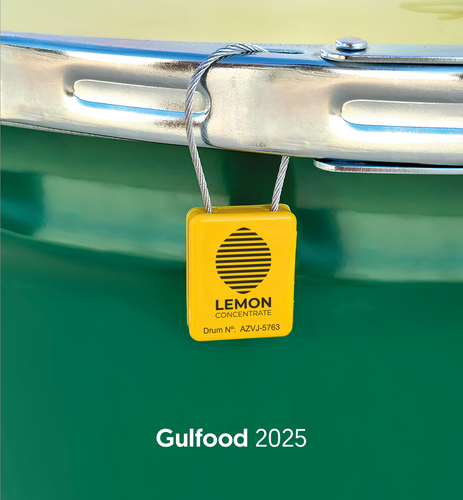 Lemonconcentrate 2025