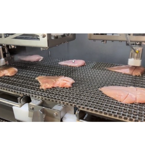 DSI Waterjet Portioner