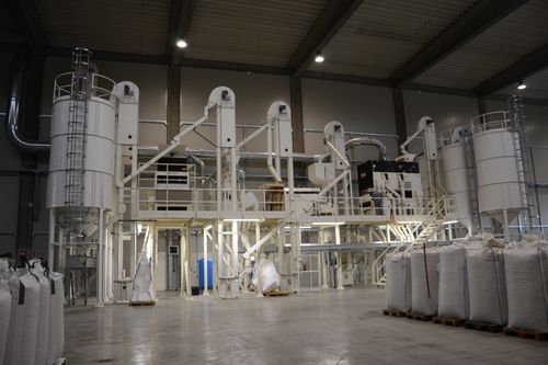 Seed Processing