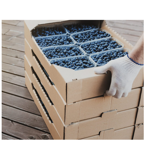 FRESH PRODUCE CORRUGATED  PACKAGING