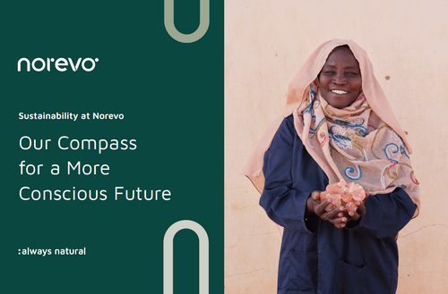 Norevo Sustainability brochure