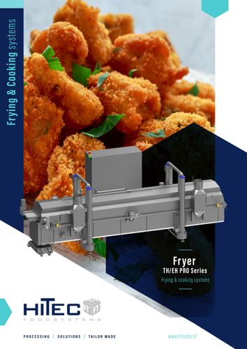 Fryer system