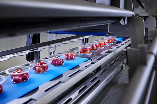 Ishida Traysealer Brochure