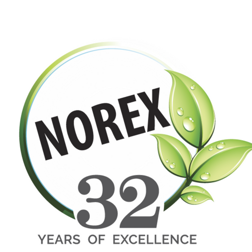 Norex