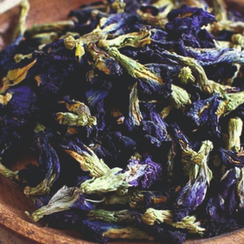 Butterfly Blue Pea Blue Natural Color