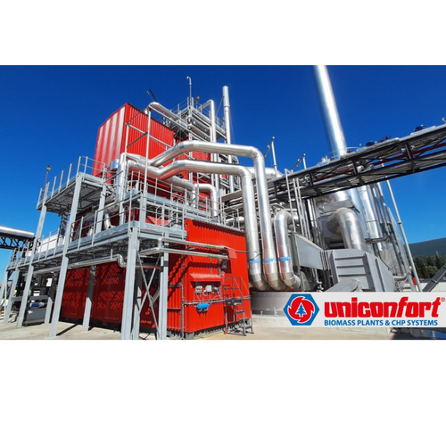 Biomass steam generator