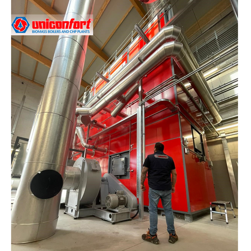 Biomass heating system