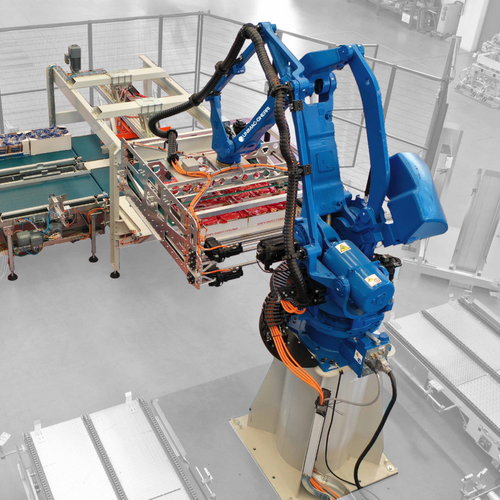 Palletizer & Depalletizer