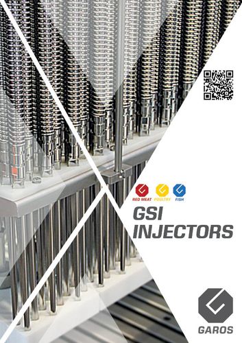 GSI Injector