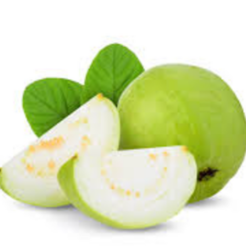 White Guava Concentrate