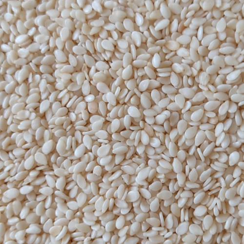 Sesame Seed