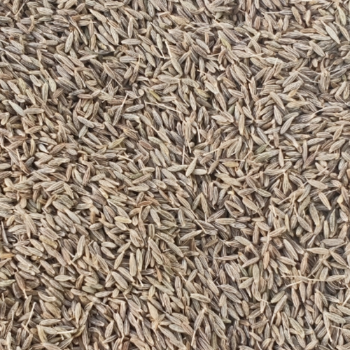 Cumin Seed