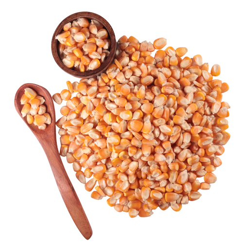 Corn Kernels
