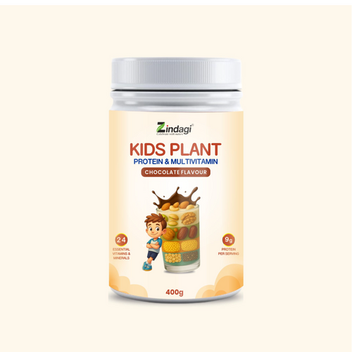 Zindagi Kids Plant Protein & Multivitamin 400g