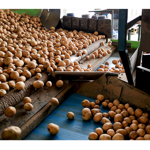 Turnkey Cold Storage Solutions