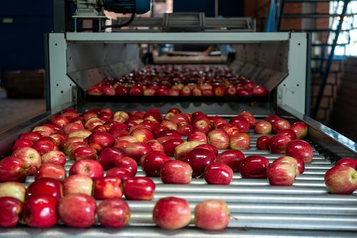 CA Cold Storage Solutions