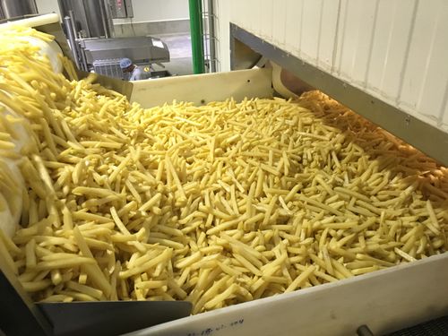 French Fries Processing Line