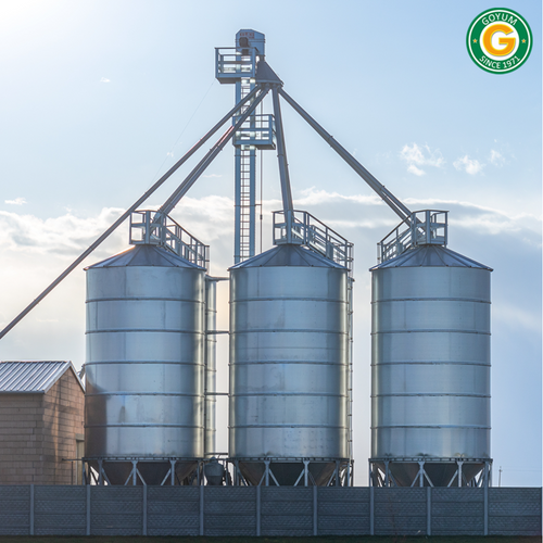 Silo & Seed Cleaning Plant