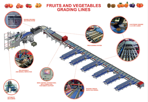DRY FRUIT GRADING LINE ENG