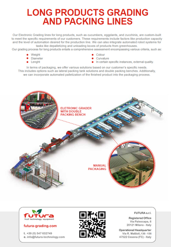 VEGETABLES GRADING LINE