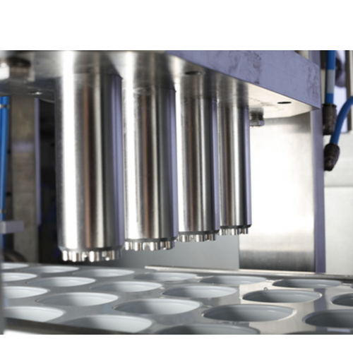 Form, Fill & Seal Machine C100