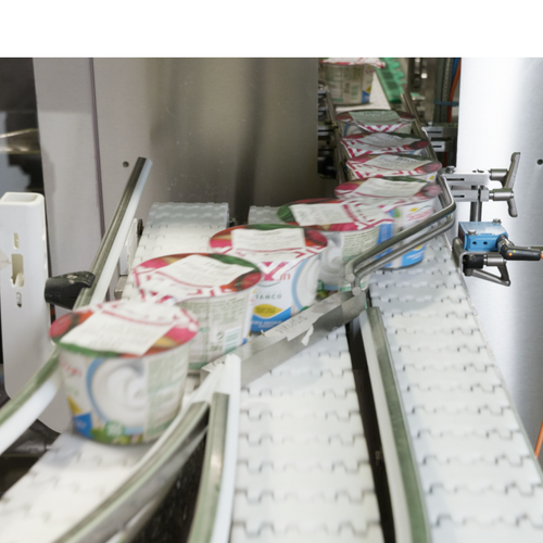 Fill & Seal Machine EFS-L