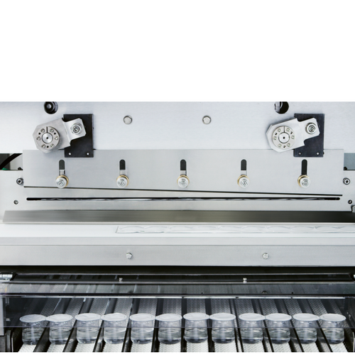 Form, Fill & Seal Machine EF600-825