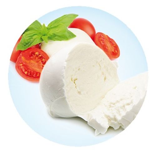MOZZARELLA PRODUCTION LINE