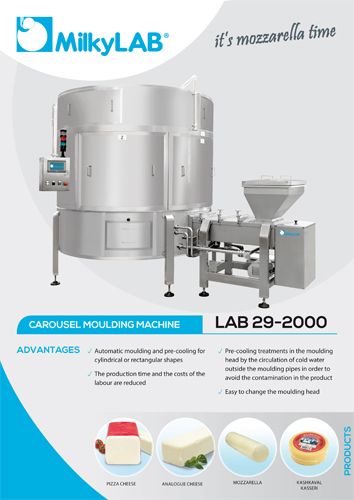 LAB 29 MOULDING MACHINE