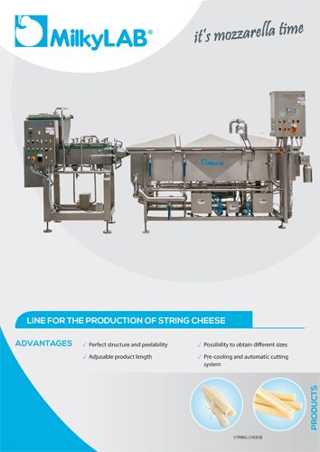 STRING CHEESE PRODUCTION LINE