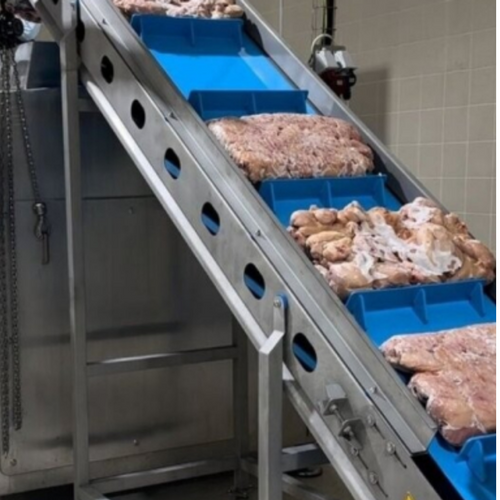 Frozen Block Meat Elevating Conveyor