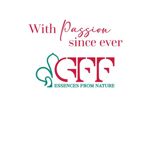 GFF Srl Company presentation