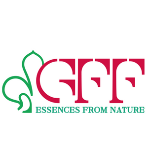 GFF Srl