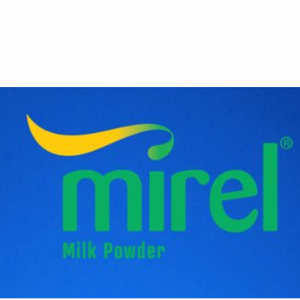 Mirel Sut