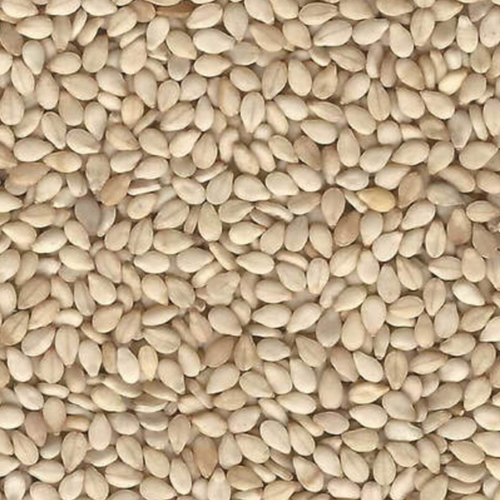 Sesame Seed