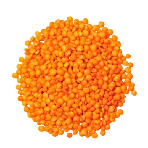 Red Lentil