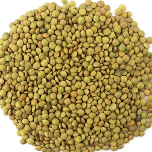 Green Lentil