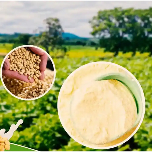 Soya Lecithin Powder