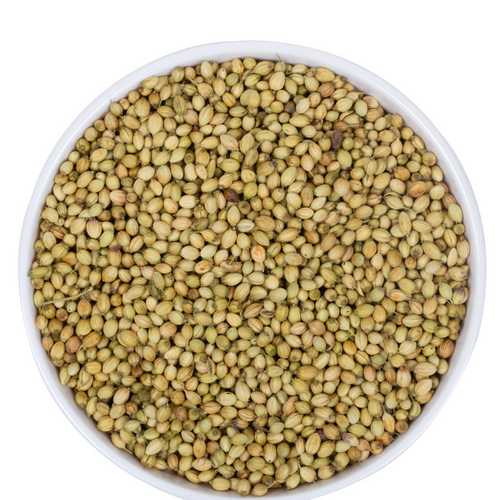 CORIANDER