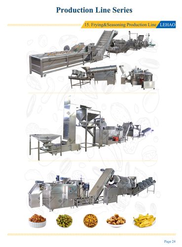 Frying and Seasoning Production Line
