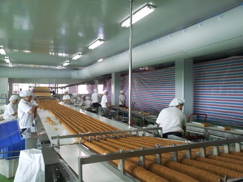 APEX Presents Advanced Biscuit Production Line at Dubai Exhibition