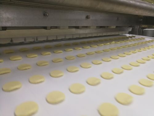 Biscuit&Cookie Production Line