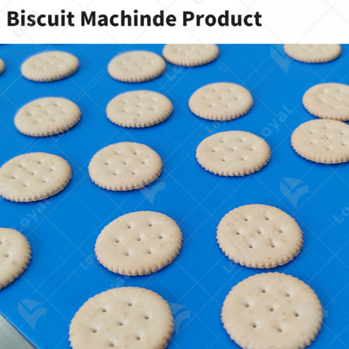100KGH  Hard Biscuit And Soft Biscuit Making Machine