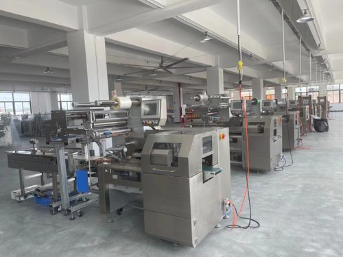 508s PACKAGING MACHINE